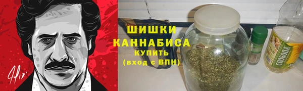 трава Арсеньев